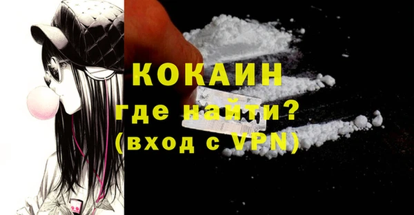 индика Заволжск