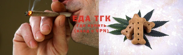 МДПВ Ельня