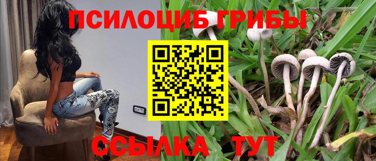 Хабаровск  Галлюциногенные грибы Magic Shrooms  Вход с VPN 