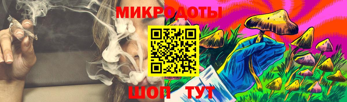Псилоцибиновые грибы мицелий Хабаровск